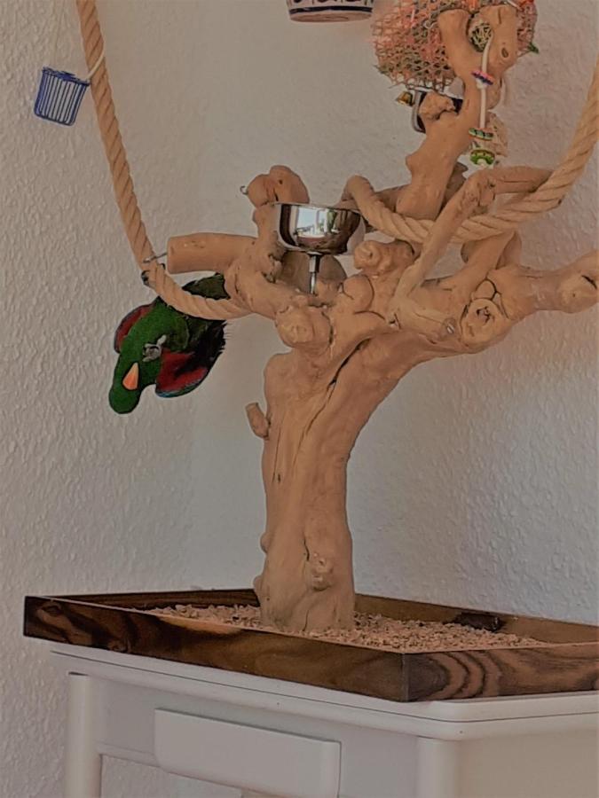 Casa Loro Loco B&B Pedralba Eksteriør bilde